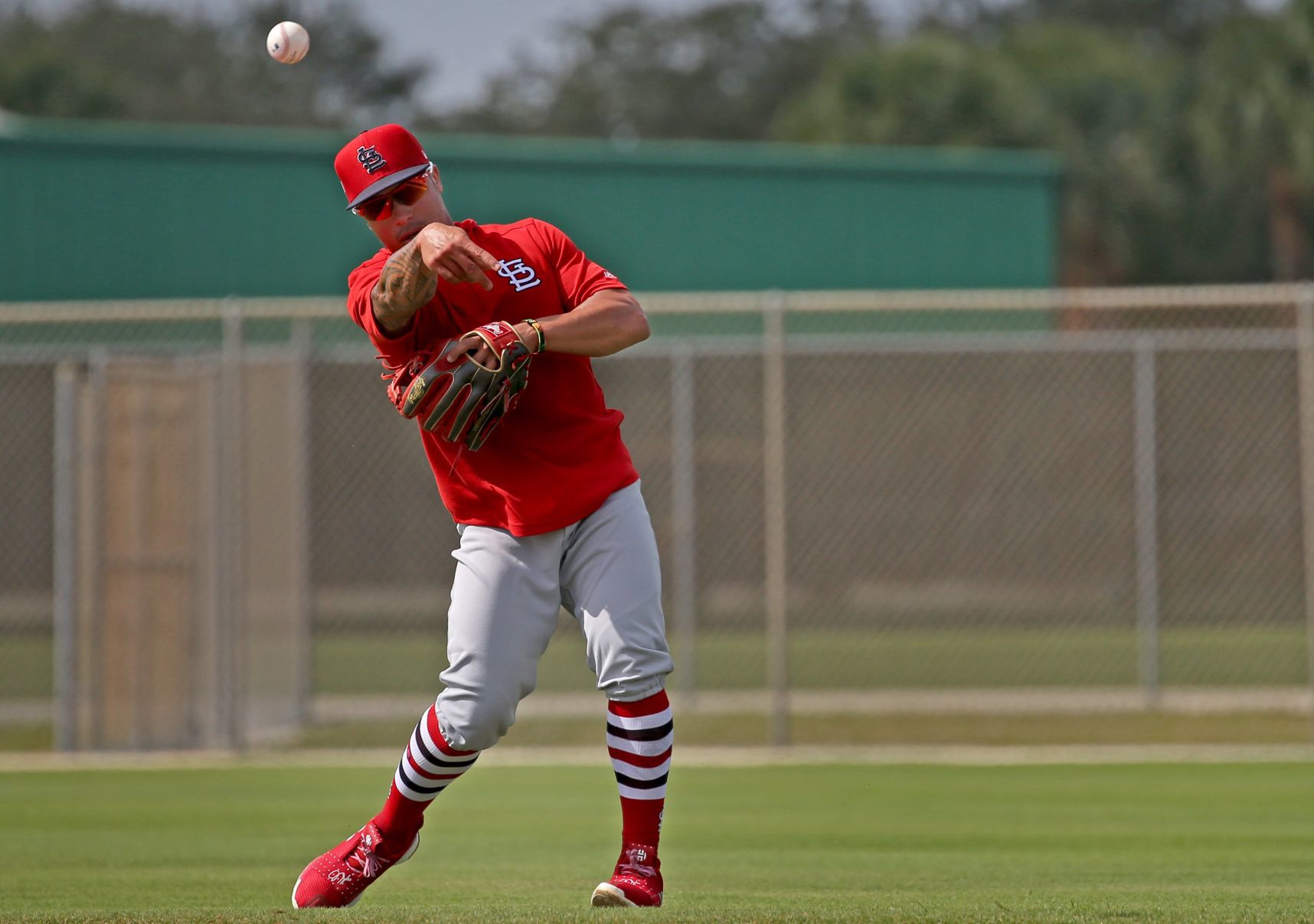 2019 Cardinals spring training